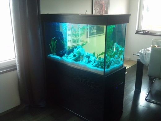 akvarium-120x50x70.jpeg