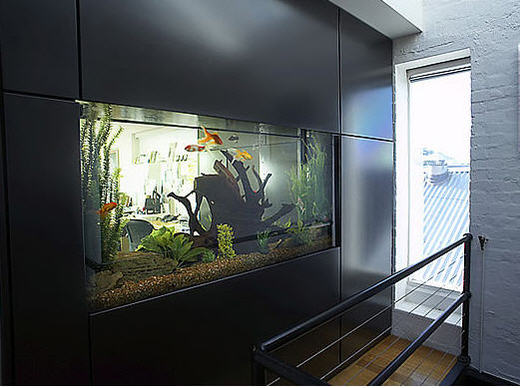 akvarium-21.jpg