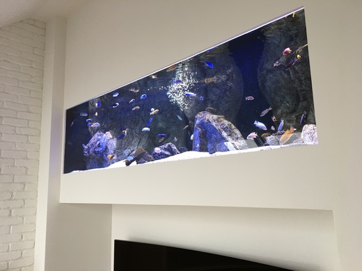 akvarium-235x100x70.jpeg