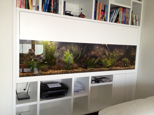 akvarium-245x45x60.jpeg