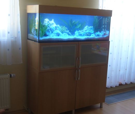 akvarium-35.jpg