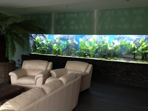 akvarium-550x90x120-5940-litru-3.jpeg