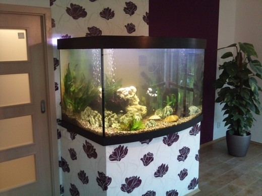 akvarium-800-litru.jpeg