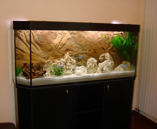 akvarium-panorama.jpg