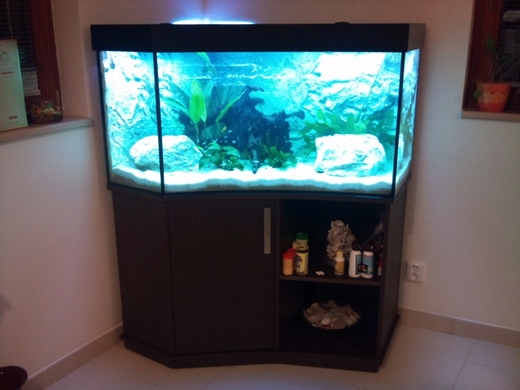 akvarium-rohove-s-vypouklim-sklem-2.jpeg
