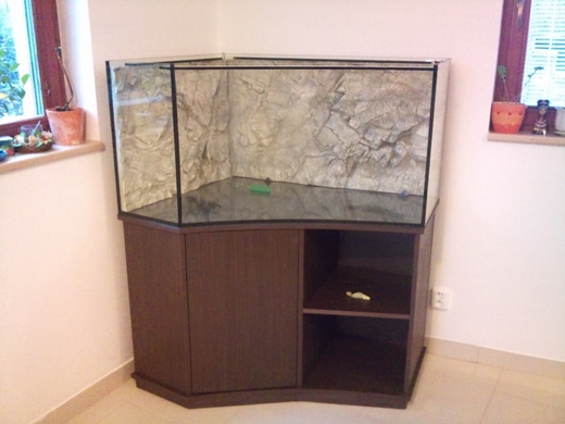 akvarium-rohove-s-vypouklim-sklem.jpeg