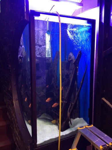 akvarium-vysoke-150cm-2..jpeg