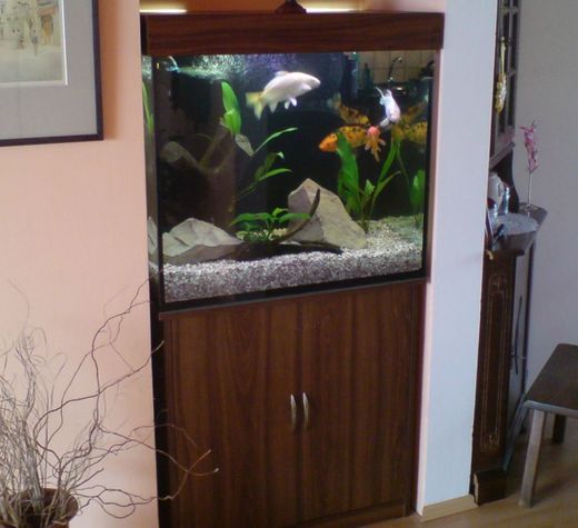 akvarium28.jpg