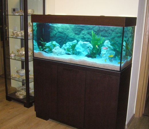 akvarium36.jpg