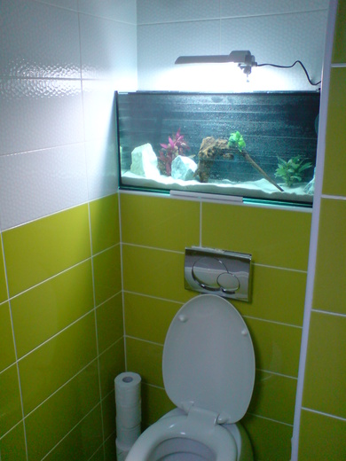 dekorace-na-wc.jpg