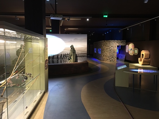 expozice-akvaria.jpeg