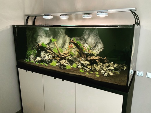 Moderní akvarijní komplet