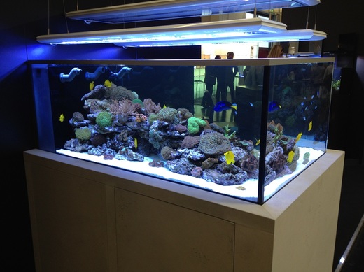 mořské akvárium 860 litrů